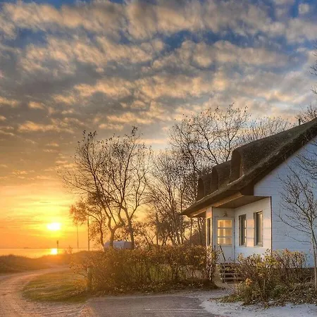 Feriehus On The No 991 *